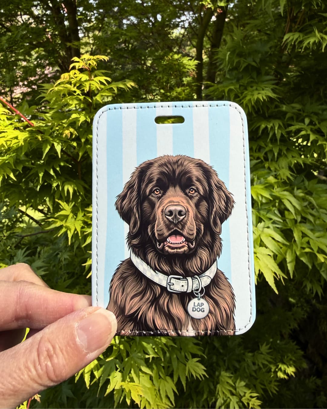 Brown Newfoundland luggage tag lifestyle; Hand holding a fun faux leather luggage tag featuring a brown Newfoundland with a light checkered collar and Lap Dog charm, vertical light blue and white stripes, green tree foliage background.