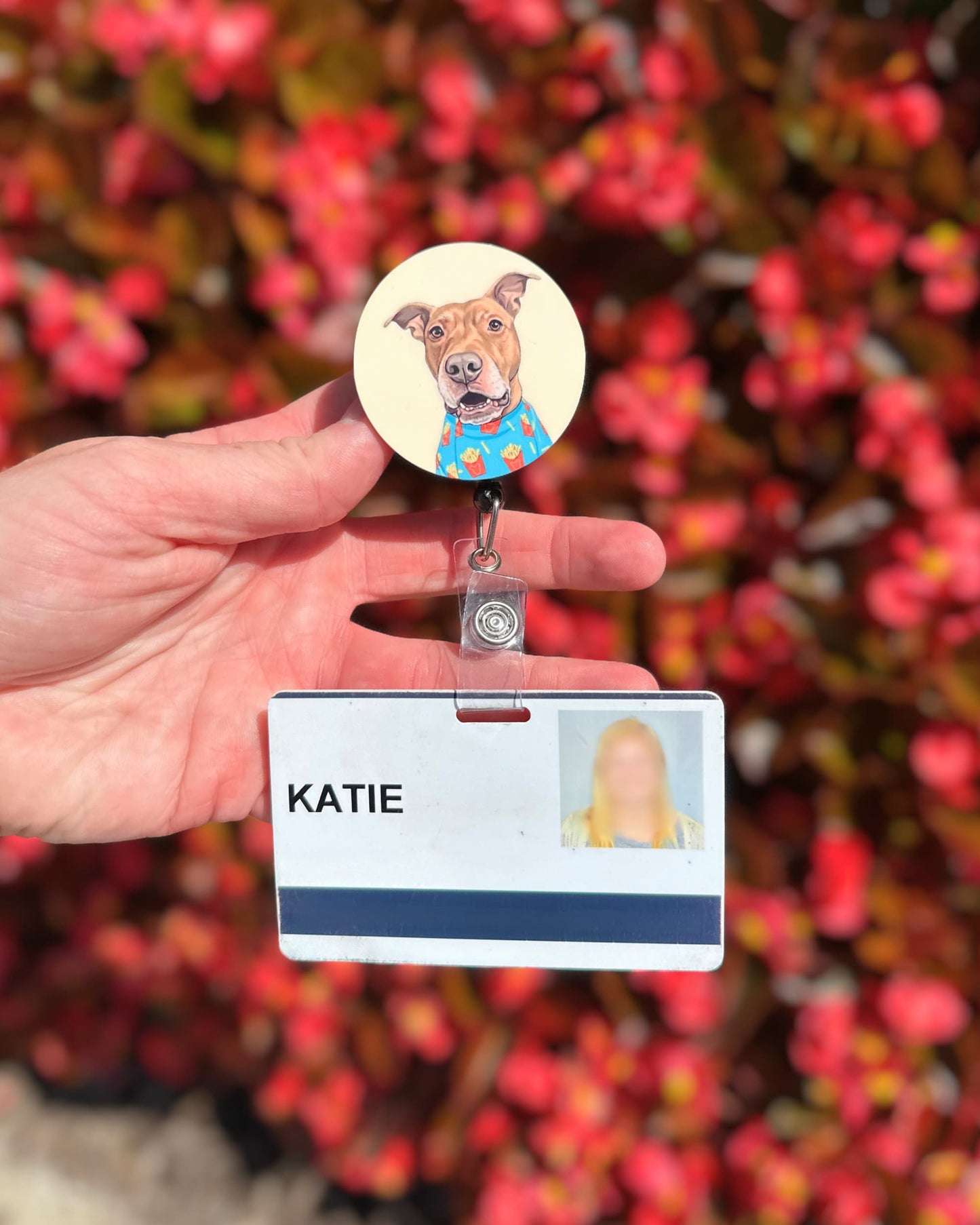 Opie badge reel held outdoors against red foliage, pit bull illustration on cream background, retractable badge reel by Sly Dawg Studio