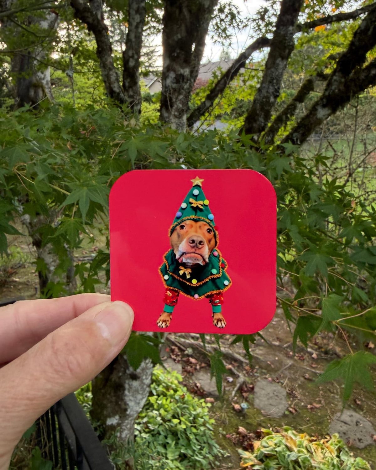 Hand holding the 2.5 inch Opie Christmas dog magnet outdoors in front of green trees