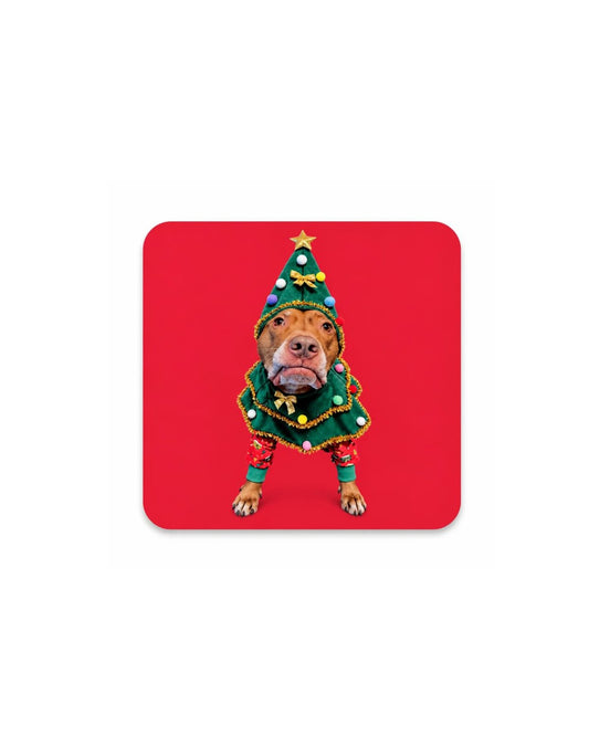 Opie Christmas tree magnet, 2.5 inch square glossy red aluminum dog magnet with Opie in a Christmas tree costume
