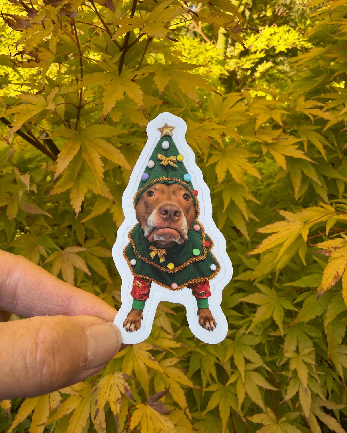 Hand holding the Opie Christmas tree dog sticker, a funny holiday pit bull decal, in front of autumn leaves