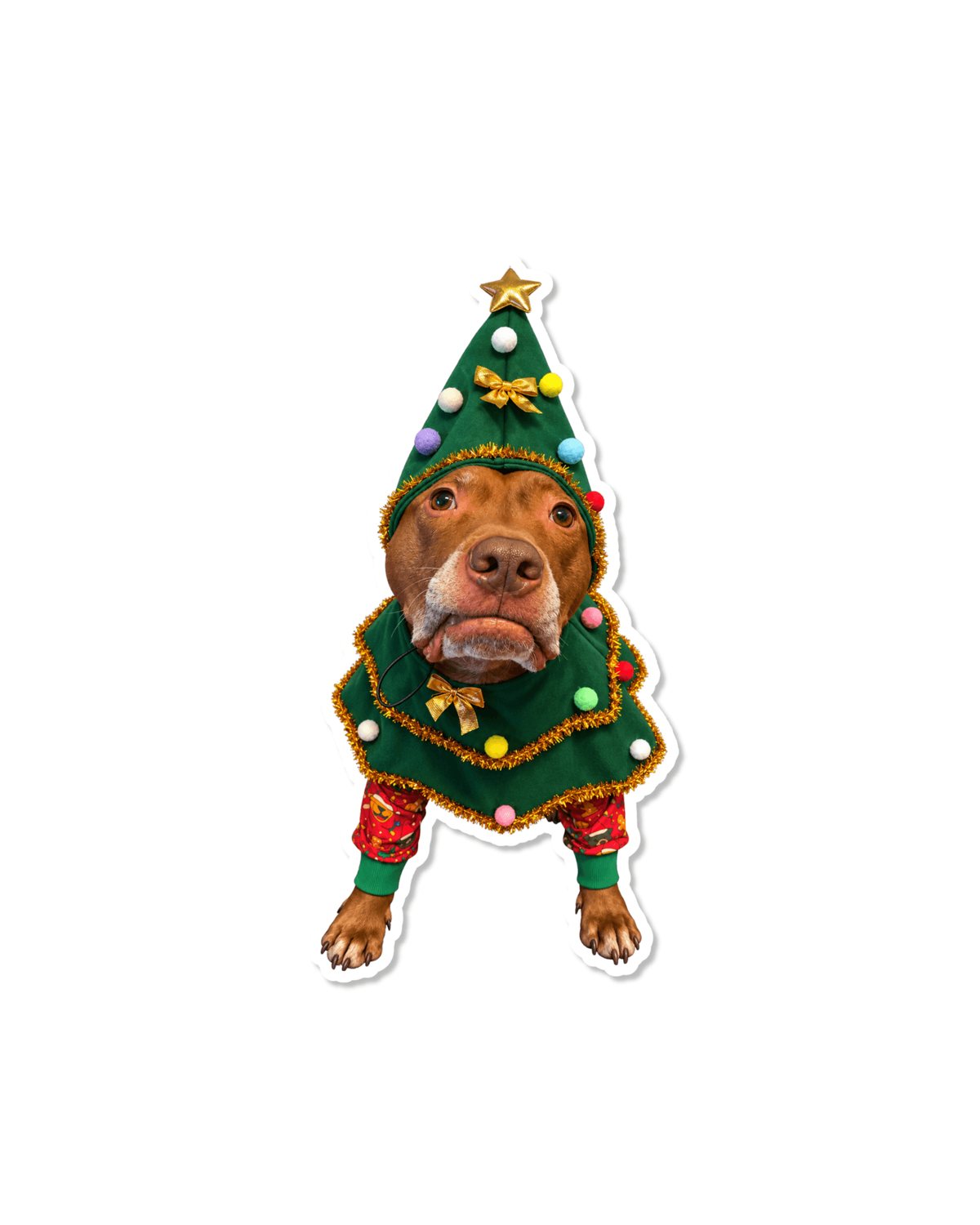Opie Christmas tree dog sticker, Opie the pit bull in a Christmas tree costume with a gold star and red pajama legs