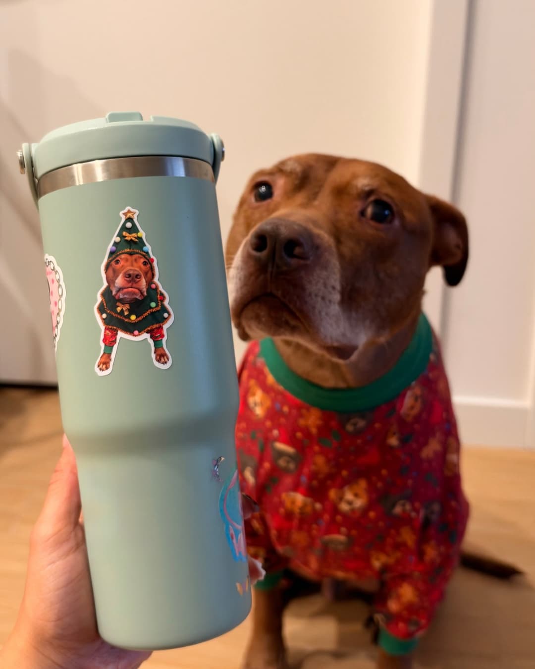 Opie the pit bull in red Christmas pajamas next to a tumbler with his Opie Christmas tree dog sticker