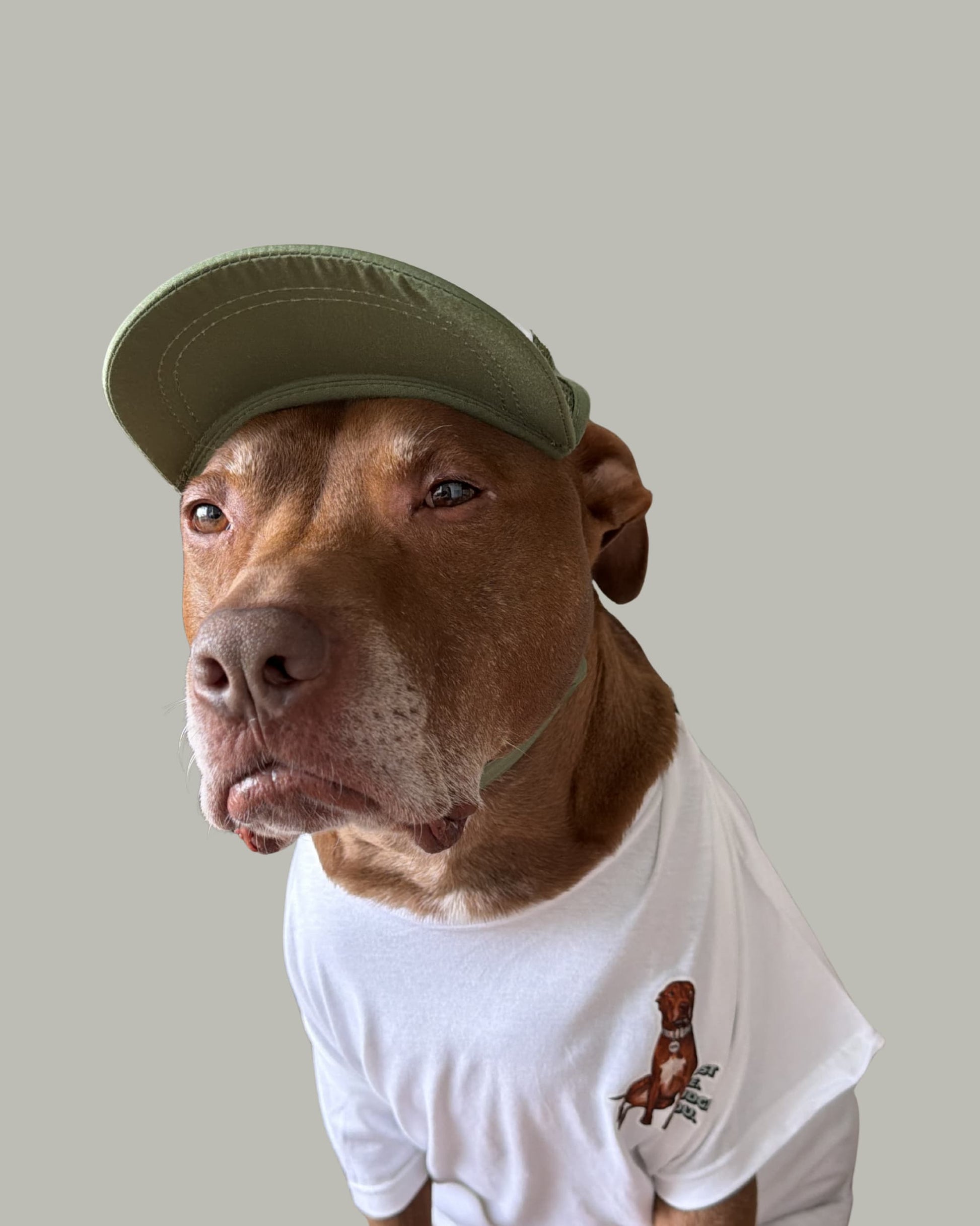 Opie dog hat in olive green being worn by the famous Opie the brown pit bull. He is scowling and also wearing a white t-shirt with official Opie merch design on the chest.