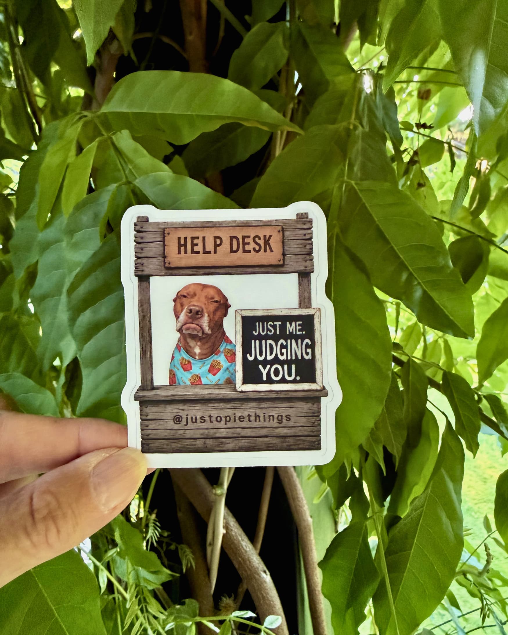 Opie Help Desk stickers, Judging You design held up outdoors against green tropical leaves
