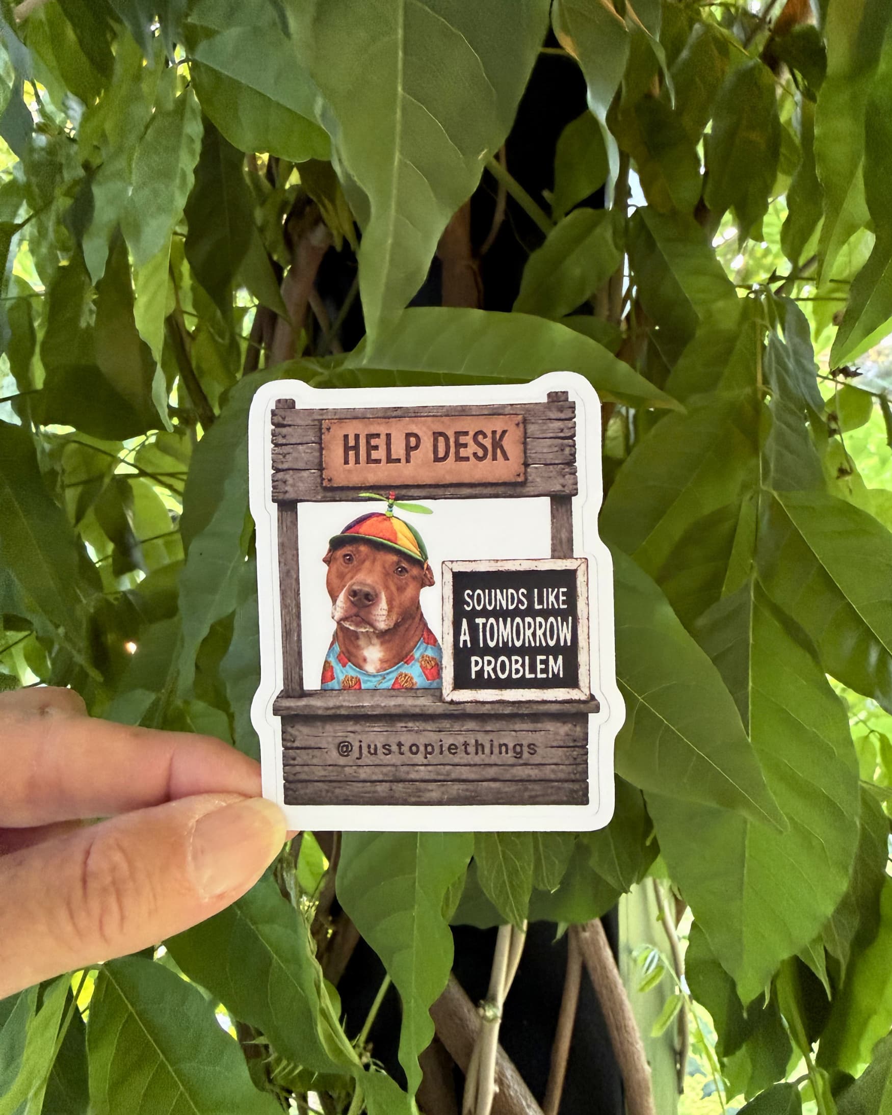 Opie Help Desk stickers, Don't Stress Take a Nap design held up outdoors against green tropical leaves