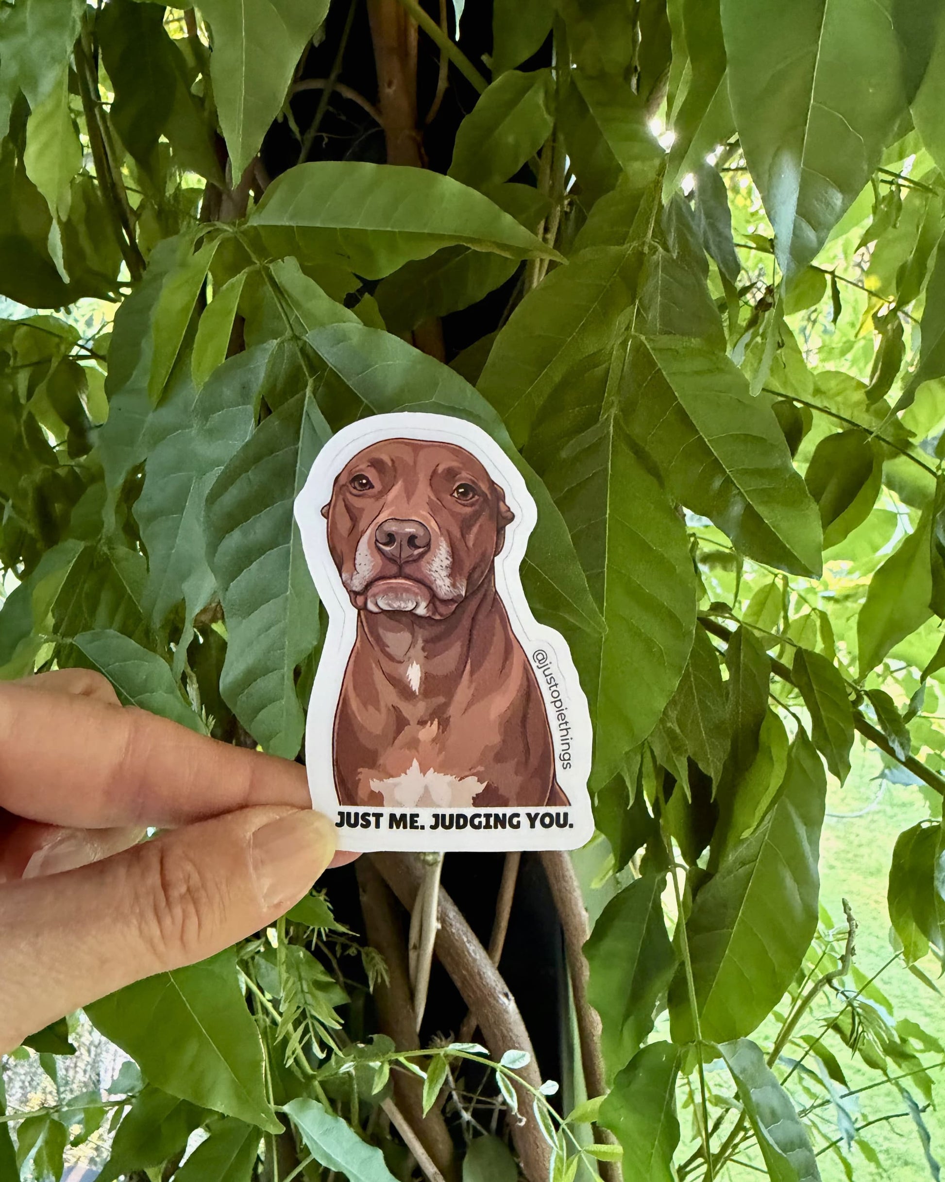 Opie judging you sticker, held up against green tropical leaves outdoors showing die-cut shape