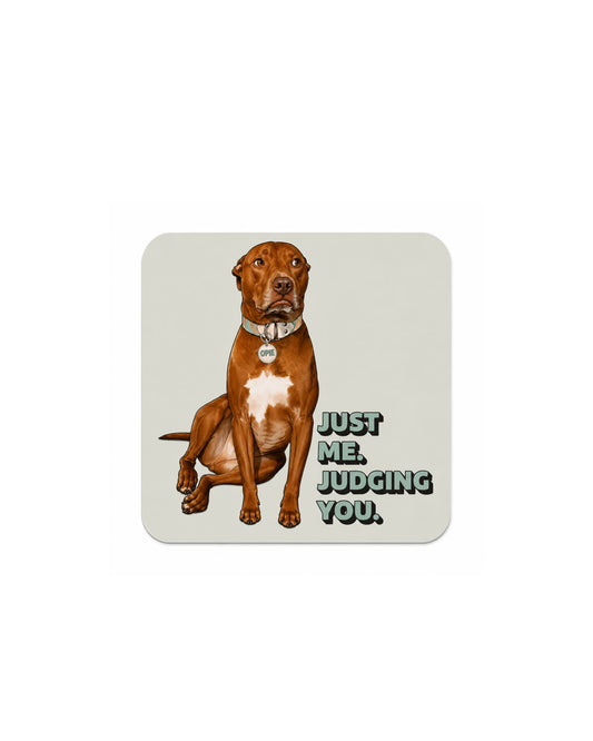 Opie Magnet Judging You, square rounded corner magnet with Opie the pit bull sitting and Just Me Judging You text on light grey background
