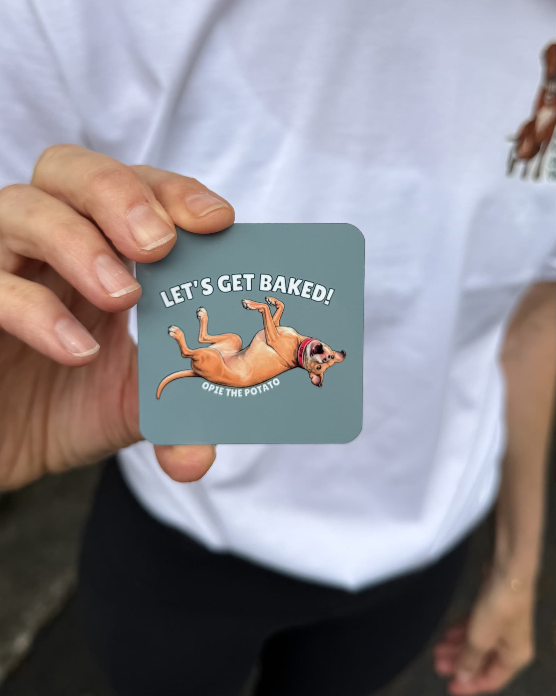 Hand holding Opie Magnet Lets Get Baked outdoors against yellow and purple petunias, slate teal background