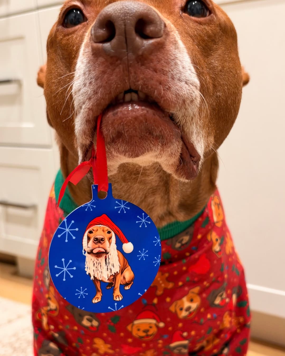 Opie Santa Christmas ornament, double-sided aluminum dog ornament with silver edge and red ribbon