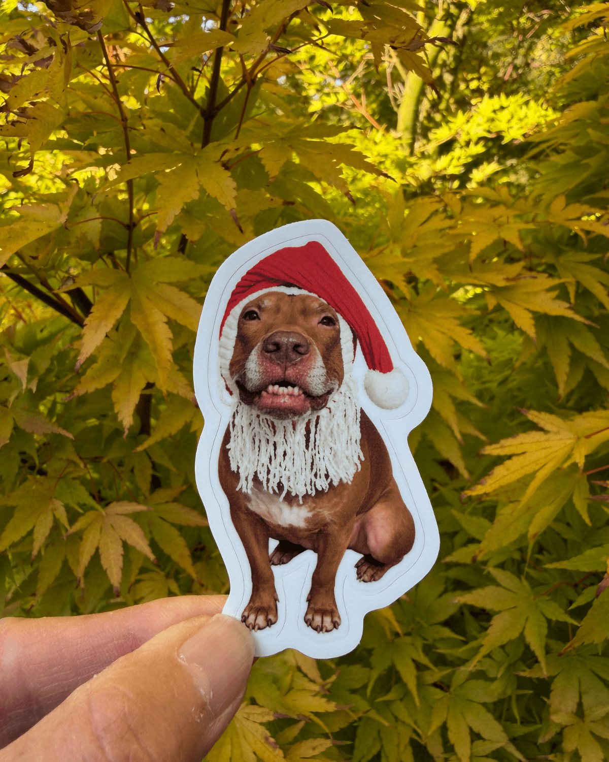 Hand holding the Santa Opie Christmas dog sticker in front of autumn leaves