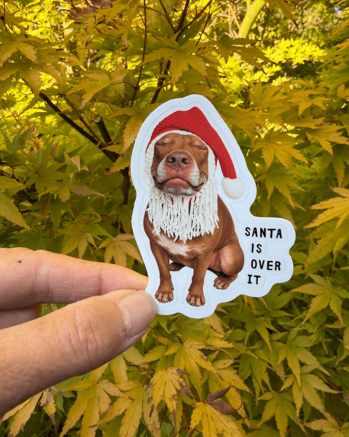 Hand holding the Opie Santa Is Over It sticker, a funny Santa dog sticker