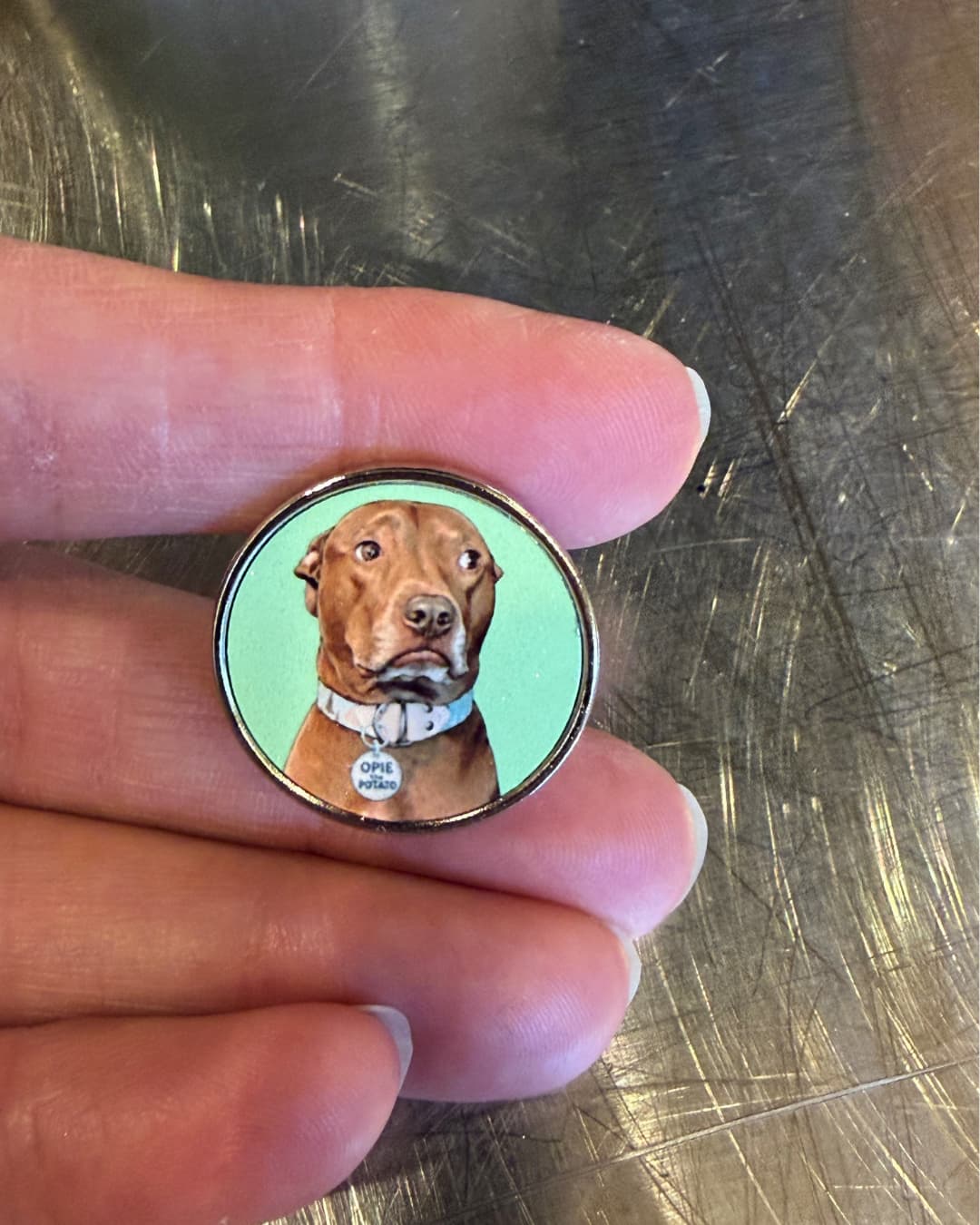 Personalized pet photo metal pin held between fingers showing size, brown pit bull illustration on mint green, silver rim