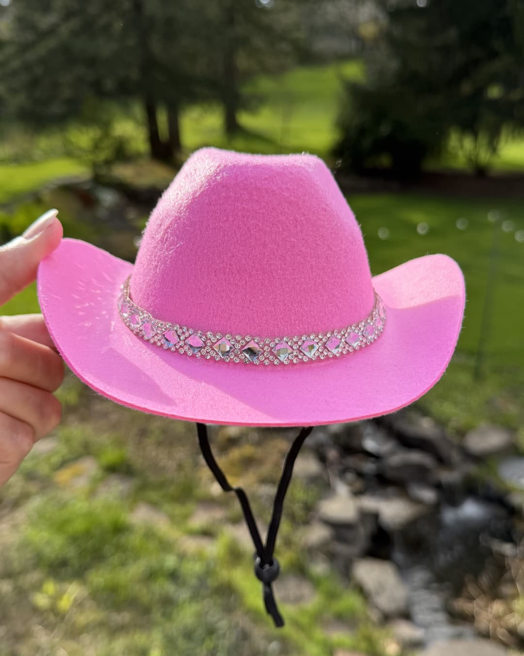 Pink cowboy hat for dogs with a decorative rhinestone band held in front of a natural garden background.