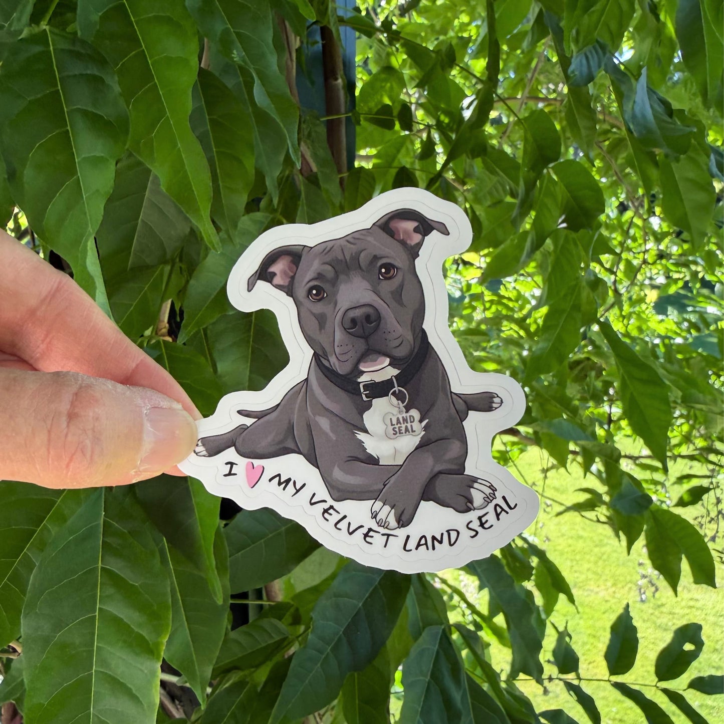 Pitbull land seal sticker held in one hand against leafy green trees, showing the gray-and-white Pittie sploot portrait and white kiss-cut border.