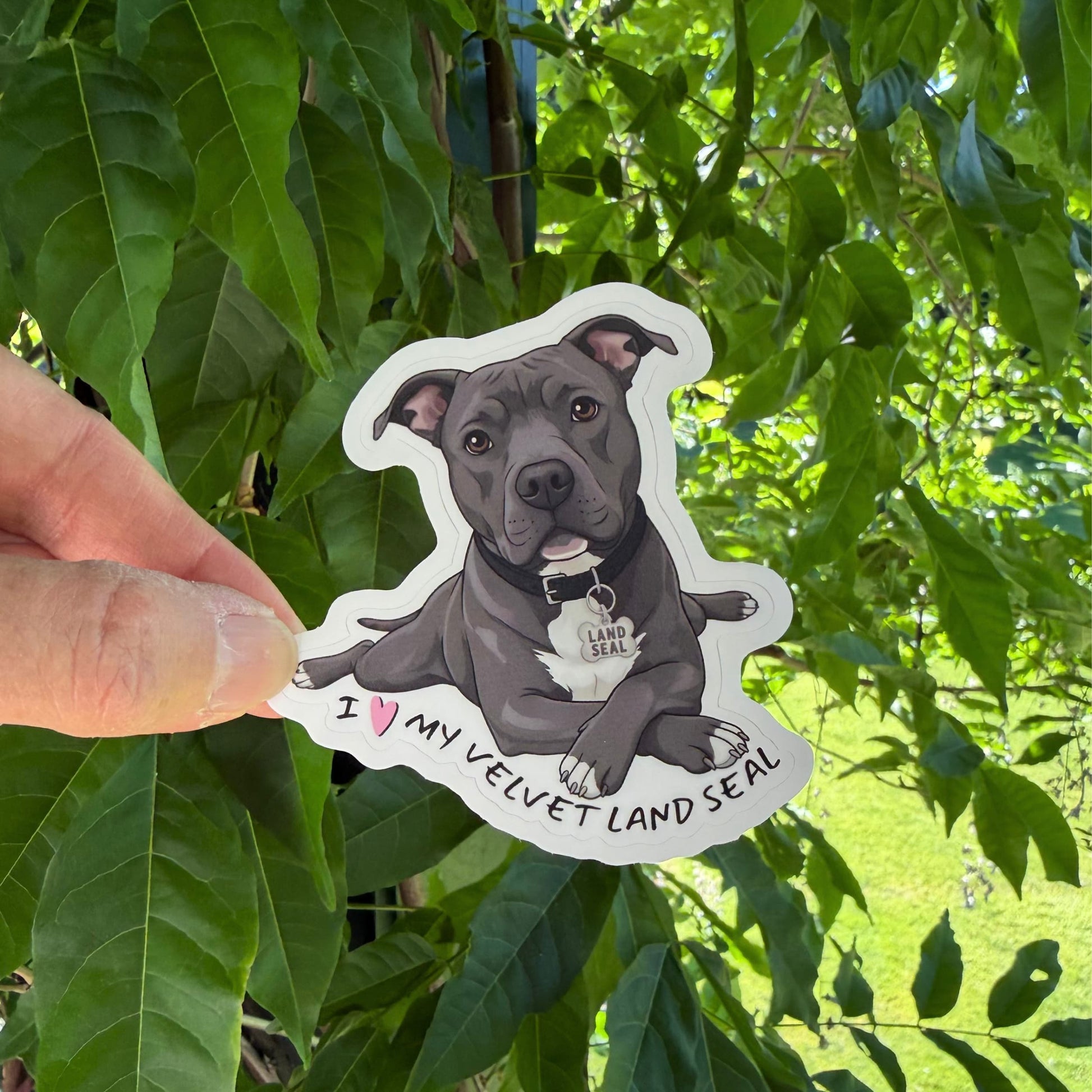 Pitbull land seal sticker held in one hand against leafy green trees, showing the gray-and-white Pittie sploot portrait and white kiss-cut border.