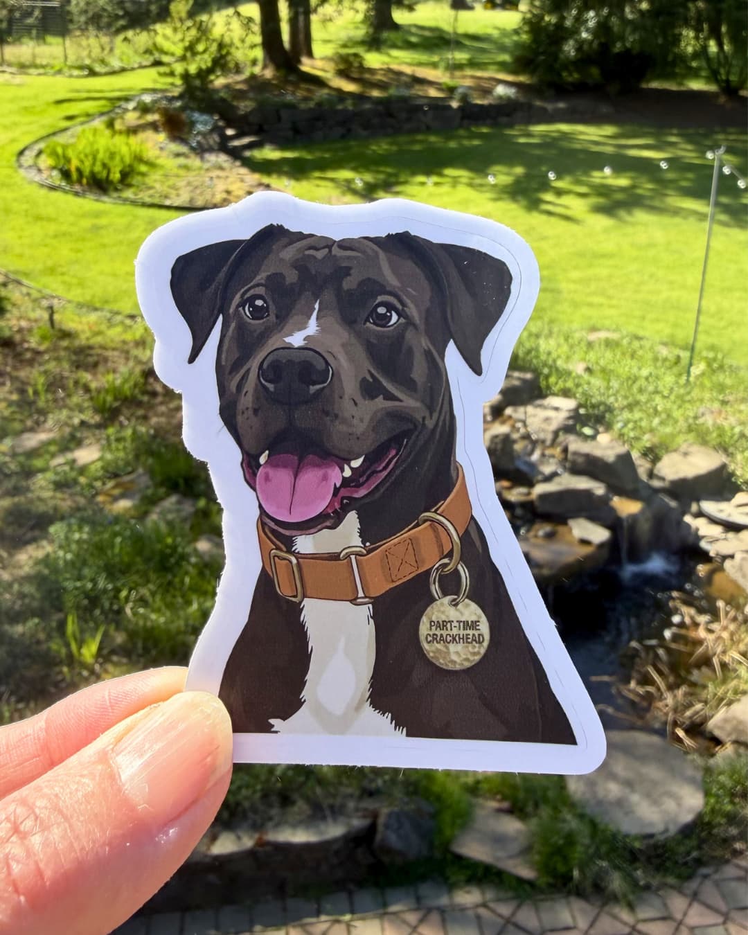 pitbull mix sticker funny pibble dog humor sticker held between fingers outdoors with yard background