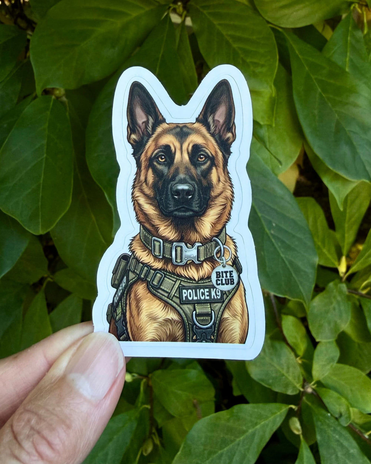 Police K9 sticker featuring a tan and black working dog wearing an olive green “POLICE K9” harness and silver “BITE CLUB” collar charm, held between fingers against green foliage.