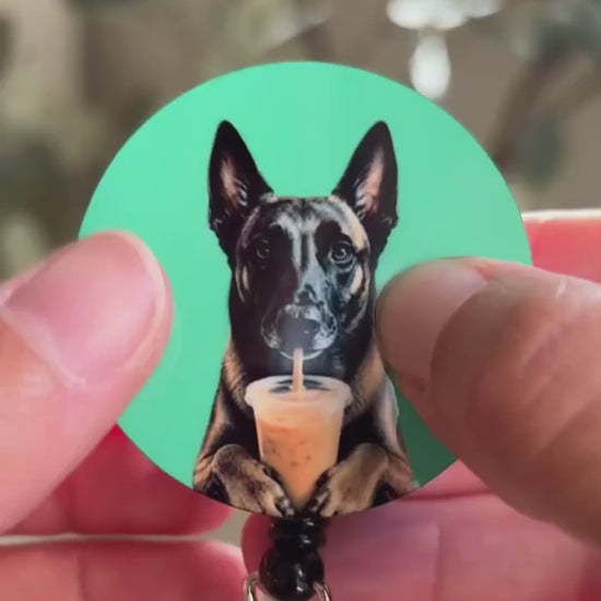 Close-up of teal interchangeable custom pet badge reel disc with Belgian Malinois drinking iced coffee, model's fingers snapping disc onto badge reel with audible click, front of reel visible