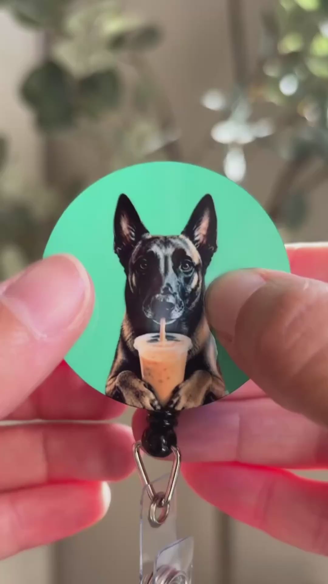 Close-up of teal interchangeable custom pet badge reel disc with Belgian Malinois drinking iced coffee, model's fingers snapping disc onto badge reel with audible click, front of reel visible