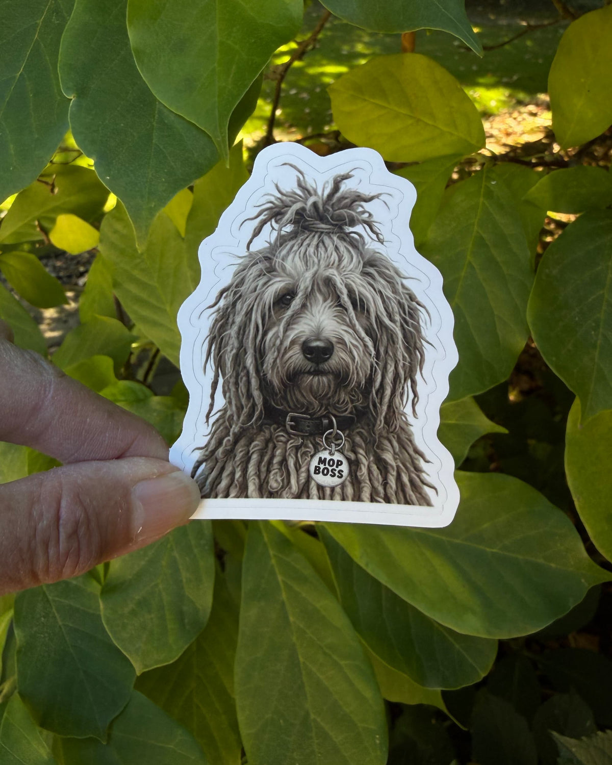 Puli dog sticker featuring a gray and taupe corded coat, topknot, and silver “MOP BOSS” collar tag, held between fingers against green leaves. Hungarian Puli