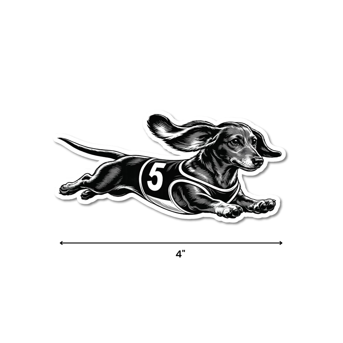 Racing dachshund sticker size reference, 4 inches wide, kiss-cut waterproof matte vinyl, black and white dachshund illustration in racing jersey with number 5, white background.