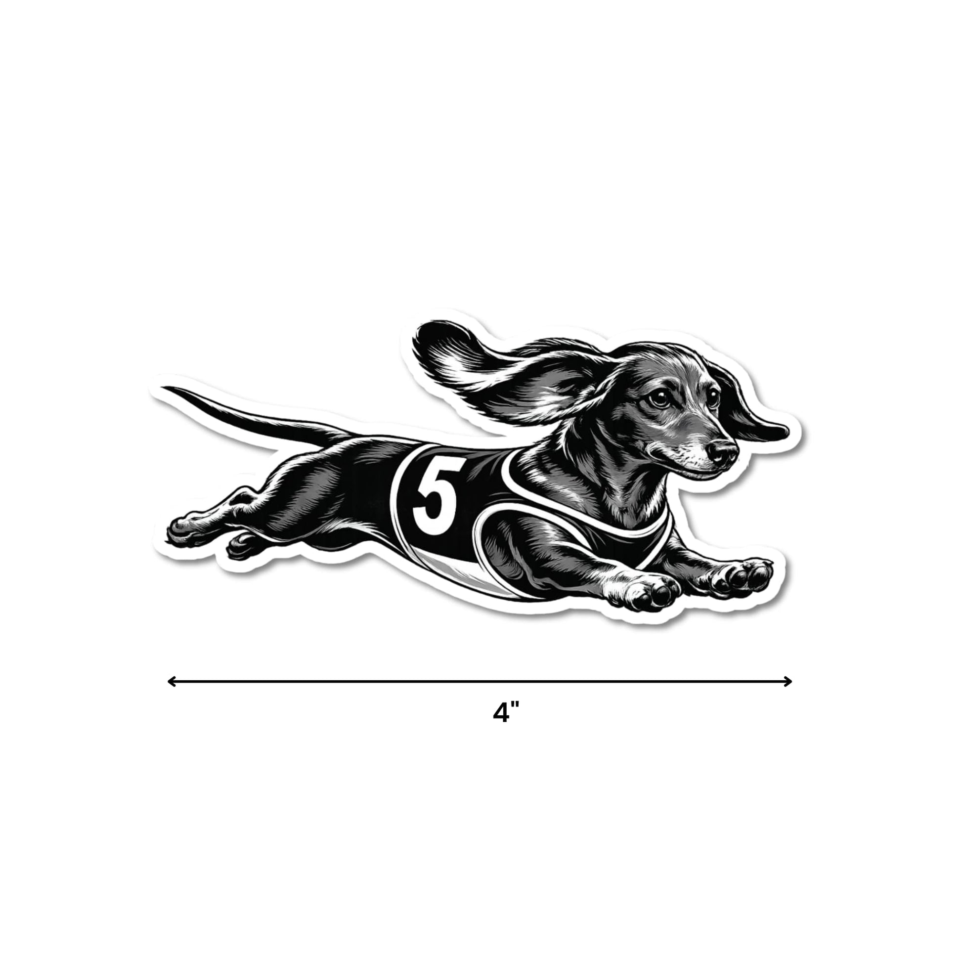 Racing dachshund sticker size reference, 4 inches wide, kiss-cut waterproof matte vinyl, black and white dachshund illustration in racing jersey with number 5, white background.