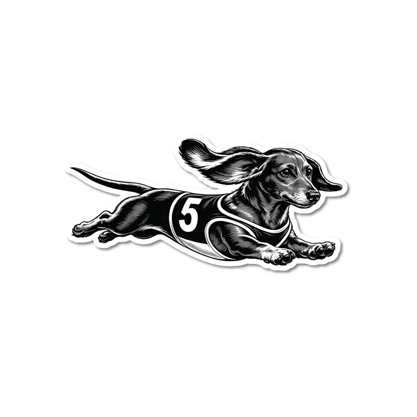 Racing dachshund sticker, kiss-cut waterproof matte vinyl featuring a black and white dachshund illustration mid-sprint wearing a dark racing jersey with white number 5, white contour border, white background.