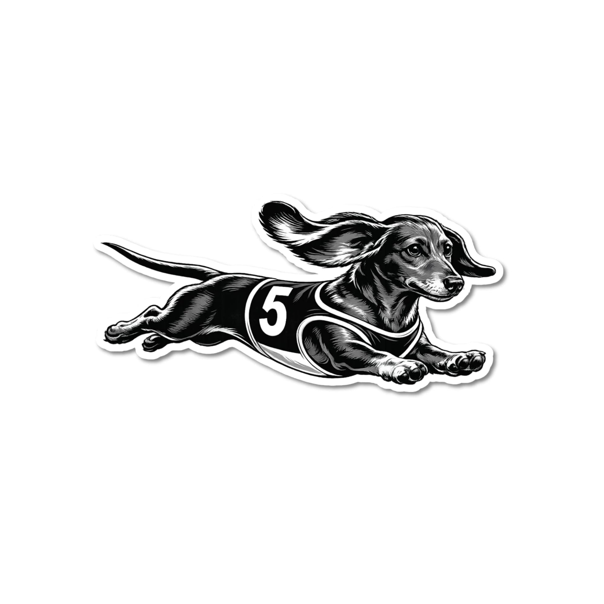 Racing dachshund sticker, kiss-cut waterproof matte vinyl featuring a black and white dachshund illustration mid-sprint wearing a dark racing jersey with white number 5, white contour border, white background.