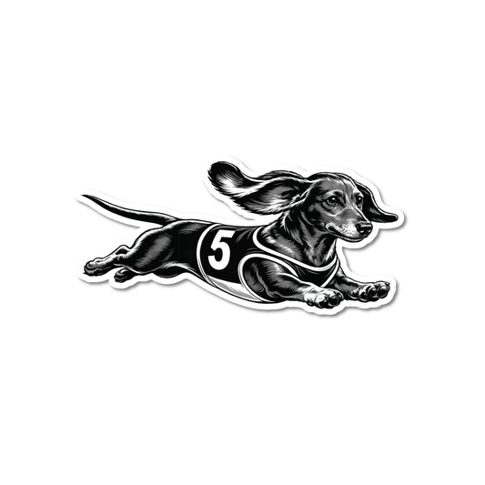 Racing dachshund sticker, kiss-cut waterproof matte vinyl featuring a black and white dachshund illustration mid-sprint wearing a dark racing jersey with white number 5, white contour border, white background.