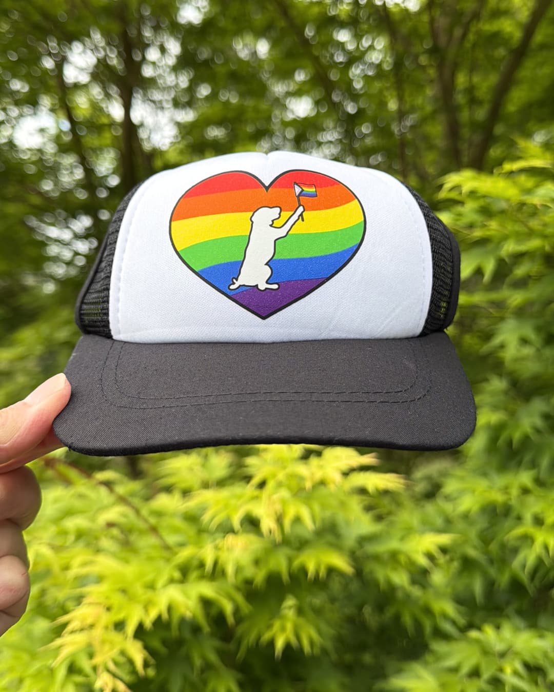 Rainbow dog hat lifestyle; hand holding a black and white rainbow dog hat outdoors with green Japanese Maple leaves in the background.