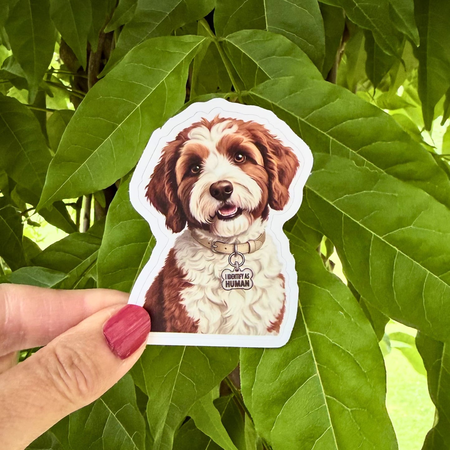  Red and white doodle sticker held outdoors against green leaves. Smiling doodle with beige collar and "I IDENTIFY AS HUMAN" charm.