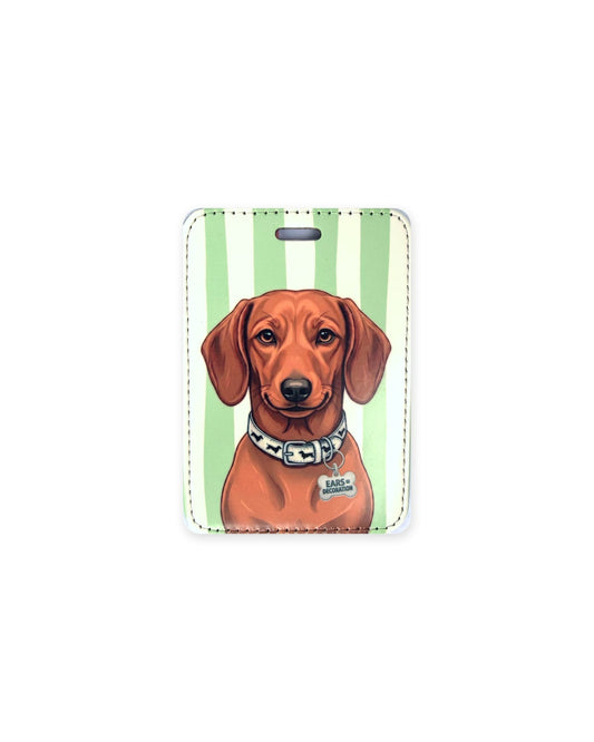 Red dachshund luggage tag with an original design of a doxie wearing a white dachshund-print collar and a bone-shaped charm that reads "Ears = Decoration", on green and cream stripes. Faux leather luggage tag with stitched edges and a slot at the top.