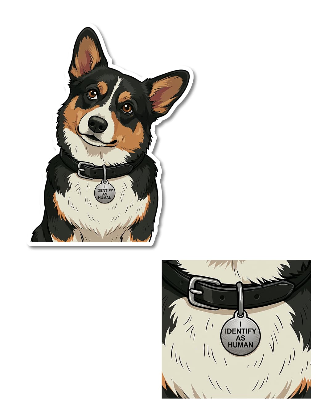 relatable corgi sticker close up of i identify as human dog tag on black tri corgi matte vinyl decal