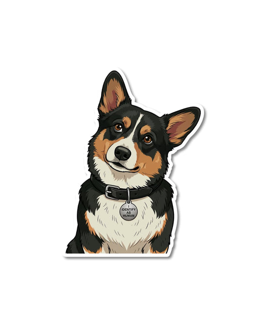 relatable corgi sticker black tri corgi with tilted head wearing i identify as human tag matte vinyl decal