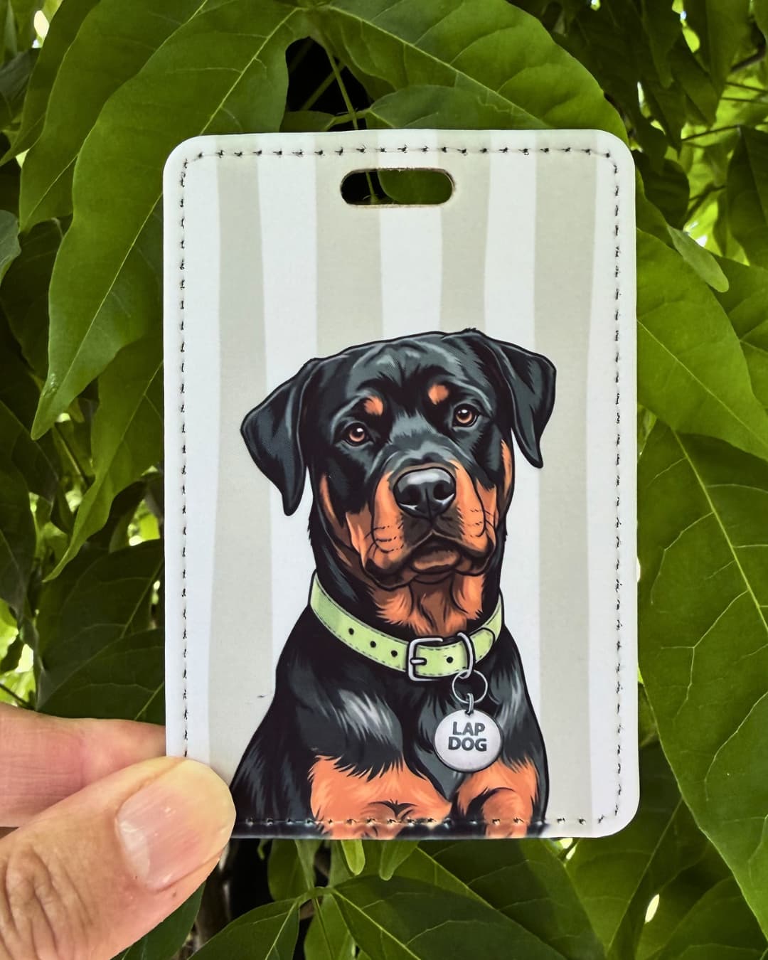 Rottweiler luggage tag lifestyle; Hand holding a fun faux leather luggage tag featuring a black and tan Rottweiler with a lime green collar and Lap Dog charm, vertical grey and white stripes, green foliage background.