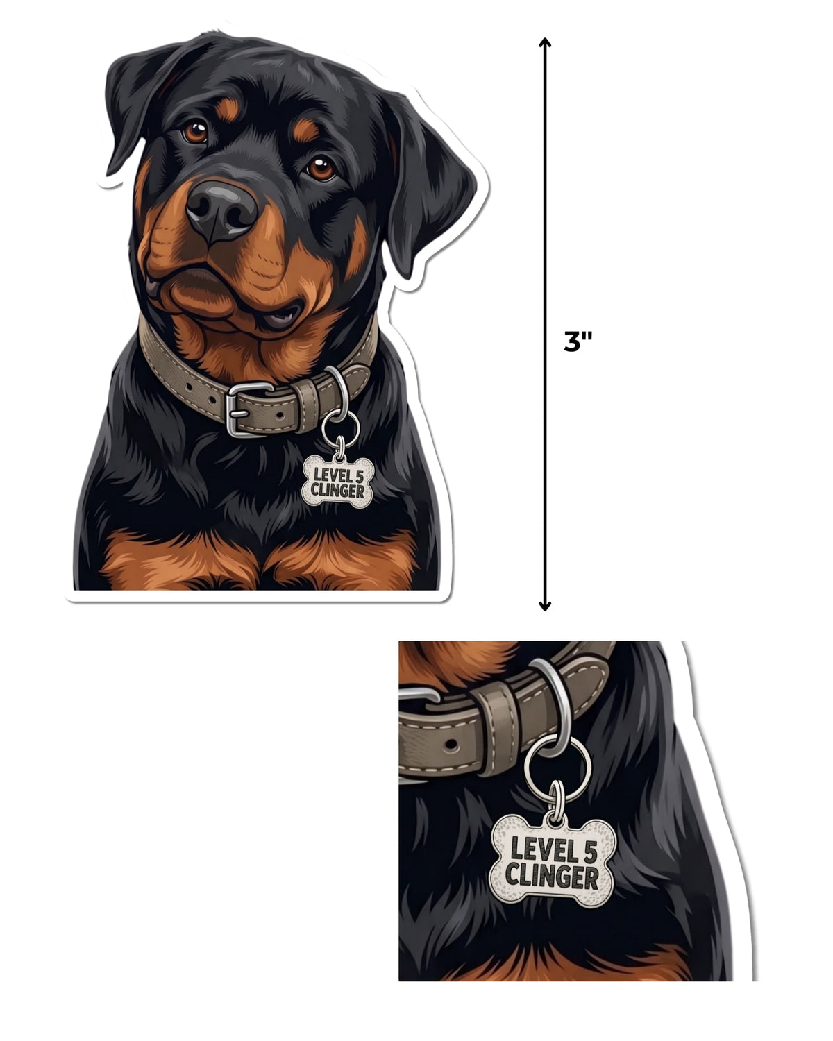 Rottweiler sticker shown with a 3-inch height guide and a close-up of the bone-shaped “LEVEL 5 CLINGER” collar tag.