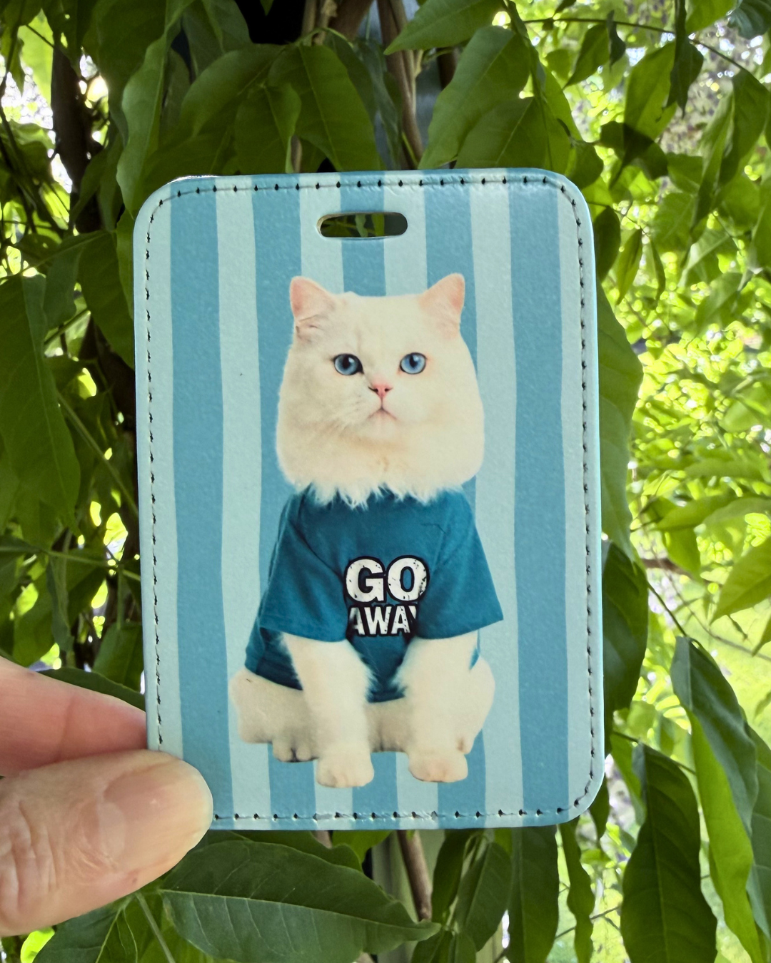 sassy cat luggage tag featuring a fluffy white cat with blue eyes wearing a go away shirt on a blue striped background -- hand held against foliage background.