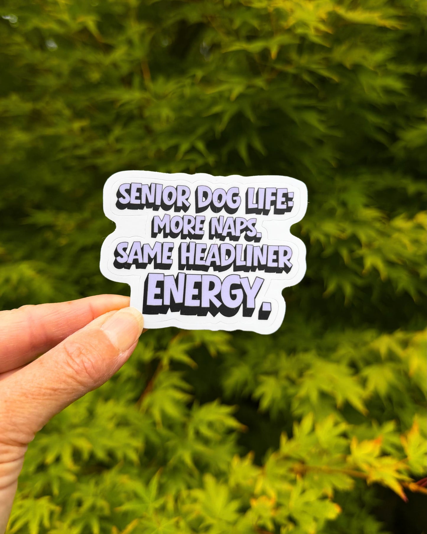 Senior dog life sticker held in one hand against leafy green trees, showing its lavender lettering and white border.