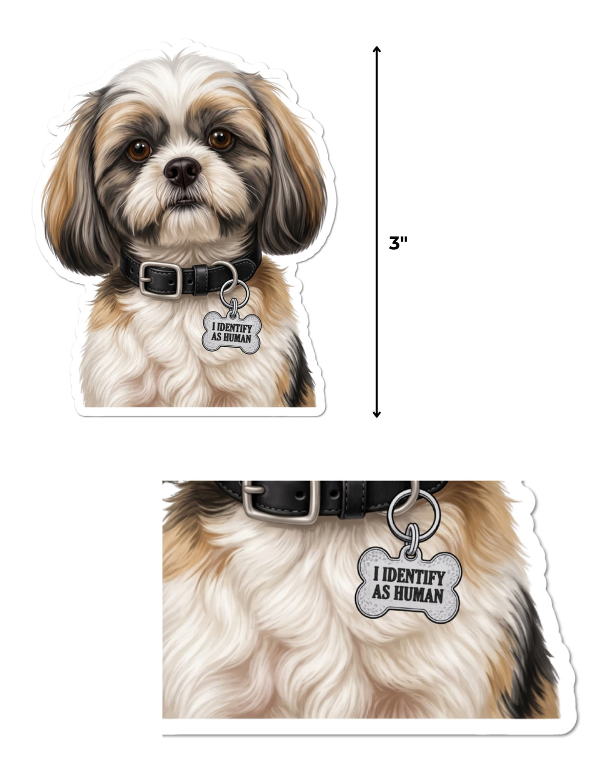 Shih Tzu sticker featuring a white, tan and charcoal gray dog beside a 3-inch height guide, with a close-up below of its black collar and silver bone-shaped charm reading “I IDENTIFY AS HUMAN,” on white.