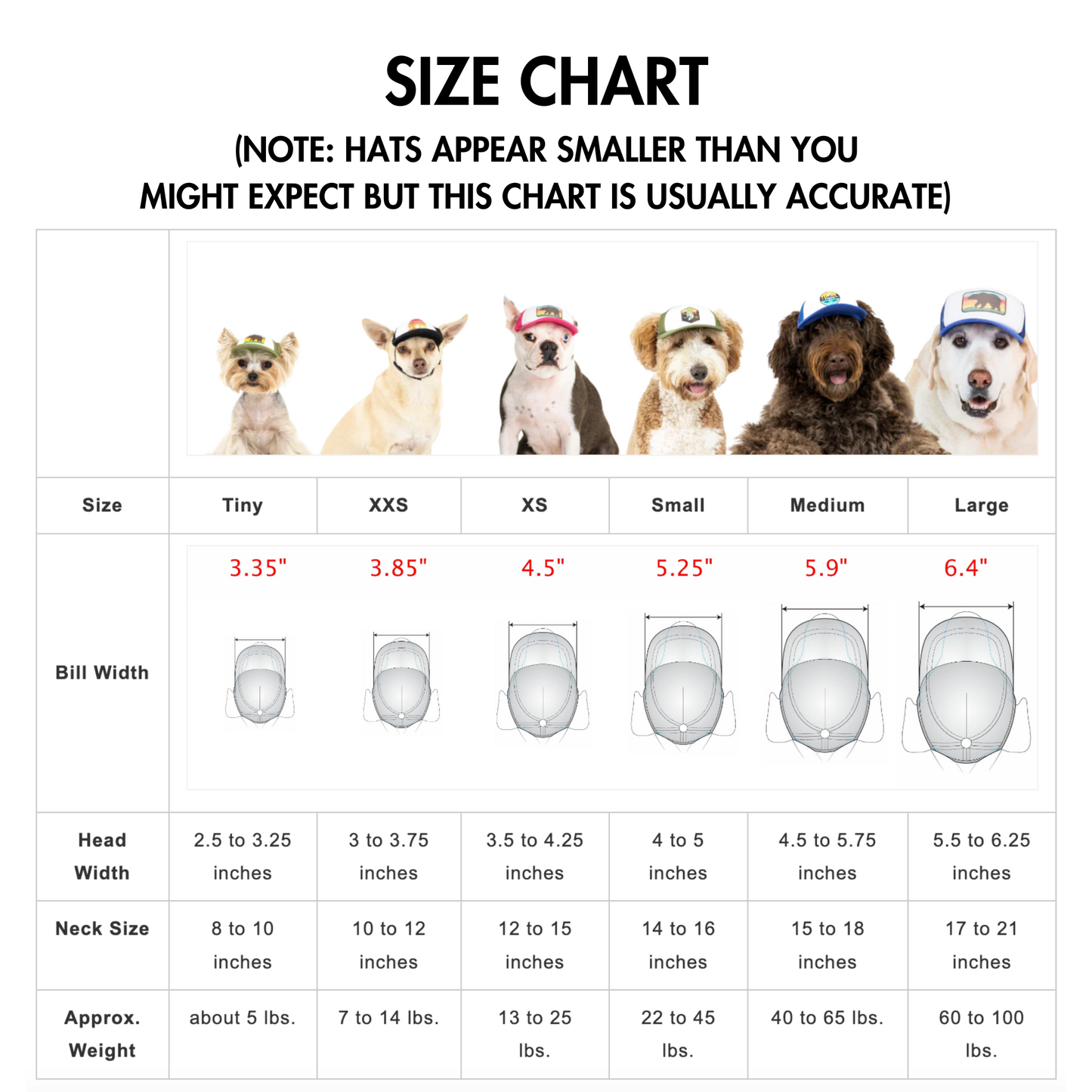 Funny Dog Trucker Hat | Arm Candy