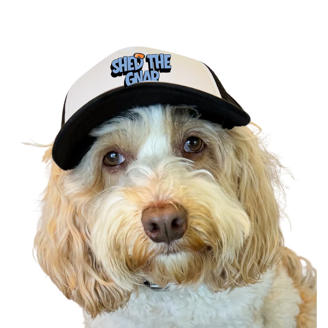 labradoodle wearing a ski dog hat with 'Shed the Glam' text on a white background