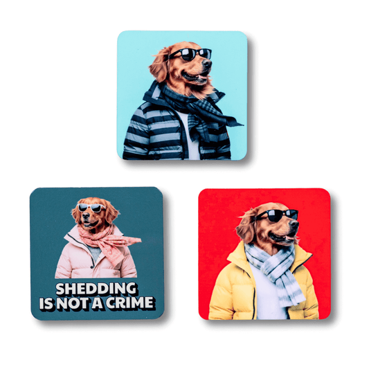 Three golden retriever magnets; each has a dog wearing winter coat and sunglasses.  Magnets have a light blue background, dark blue-gray background, and red background against white background.