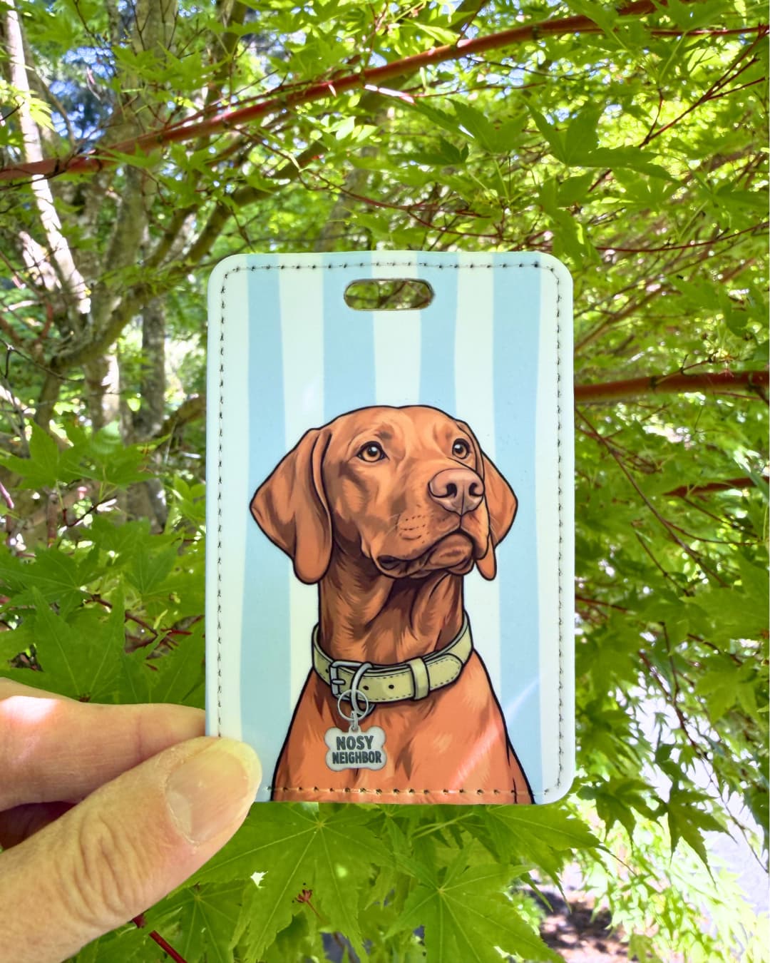 Vizsla dog luggage tag lifestyle; Hand holding a vibrant faux leather luggage tag featuring a judgmental Vizsla with a Nosy Neighbor funny bone charm, light blue and white stripes, green tree foliage background.