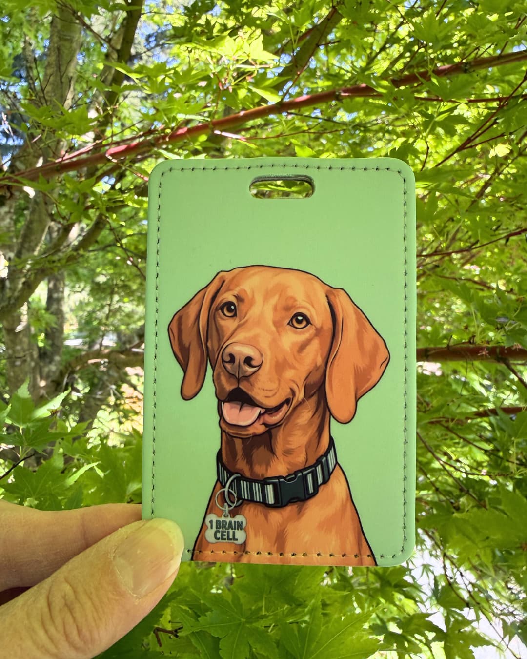 Vizsla gift for dog lovers luggage tag lifestyle; Hand holding a fun faux leather luggage tag featuring a grinning Vizsla with a 1 Brain Cell funny bone charm, solid sage green background, green tree foliage background.
