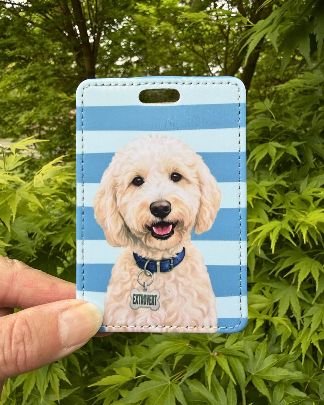 white doodle luggage tag handheld outdoors against green foliage showing smiling cream Doodle with blue collar and EXTROVERT bone collar tag on blue and white horizontal striped faux leather tag
