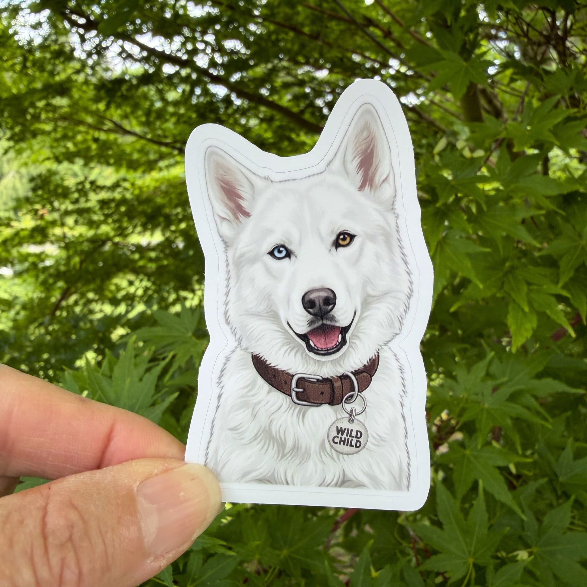 white husky sticker;  white dog with one blue eye and one brown eye and a brown collar held in front of green foliage.