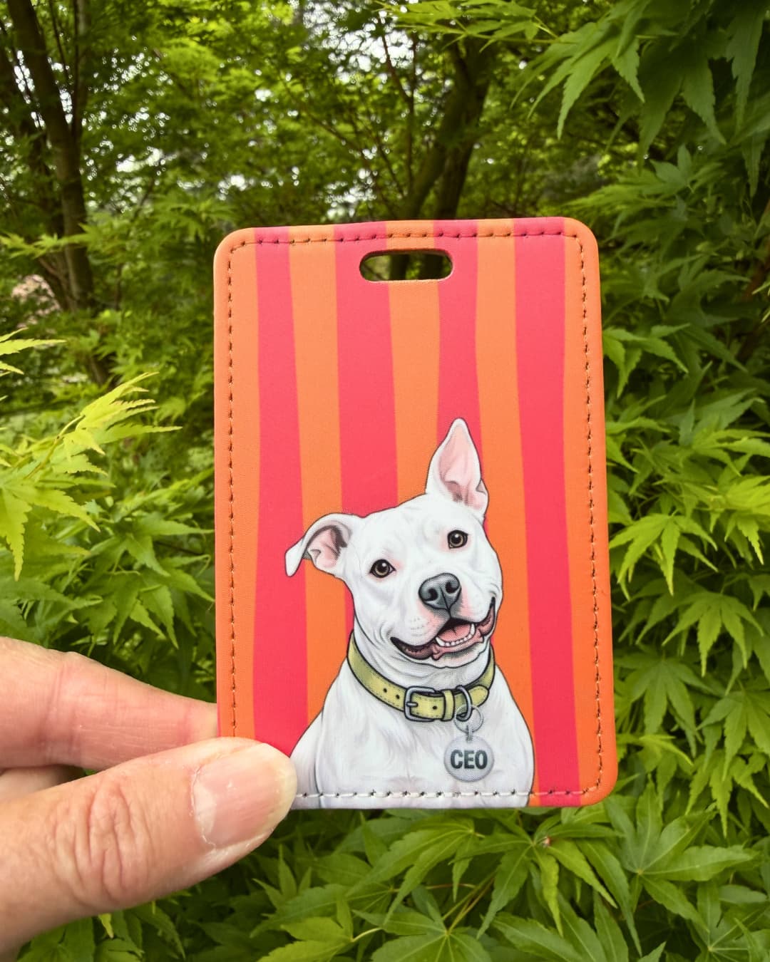 white pit bull luggage tag handheld lifestyle shot showing white bully breed dog with CEO collar tag on orange and pink striped faux leather tag