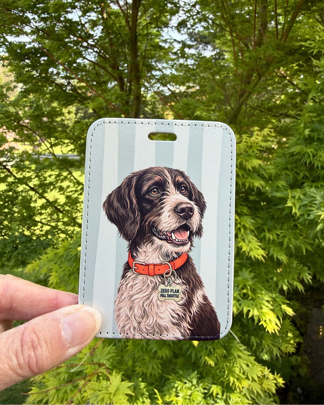 wirehaired pointing griffon travel luggage tag handheld lifestyle shot showing Korthals griffon with ZERO PLAN FULL THROTTLE collar tag on gray and white striped faux leather tag