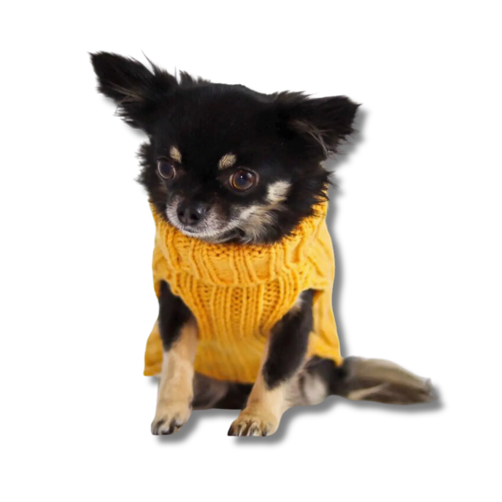 Yellow Zoo Snood brand SWEATER for dogs of all sizes